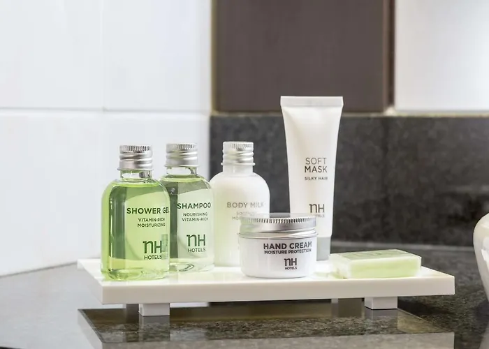 Hotel Nh Sint Pieters